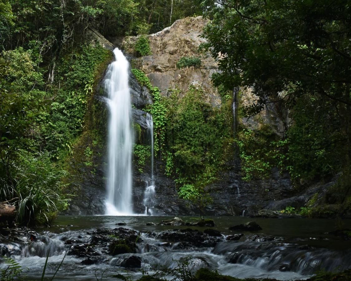 Cassowary Falls Gateway Daintree Εξωτερικό φωτογραφία